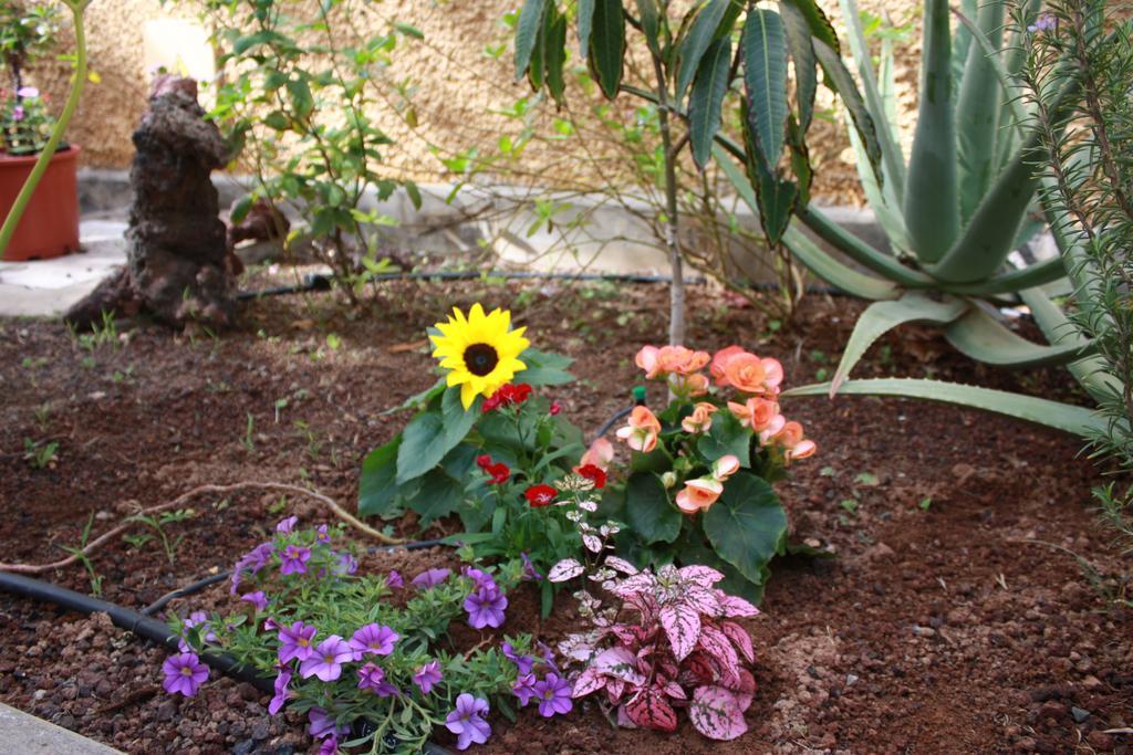 Parque Luz Βίλα Μασπαλόμας Εξωτερικό φωτογραφία